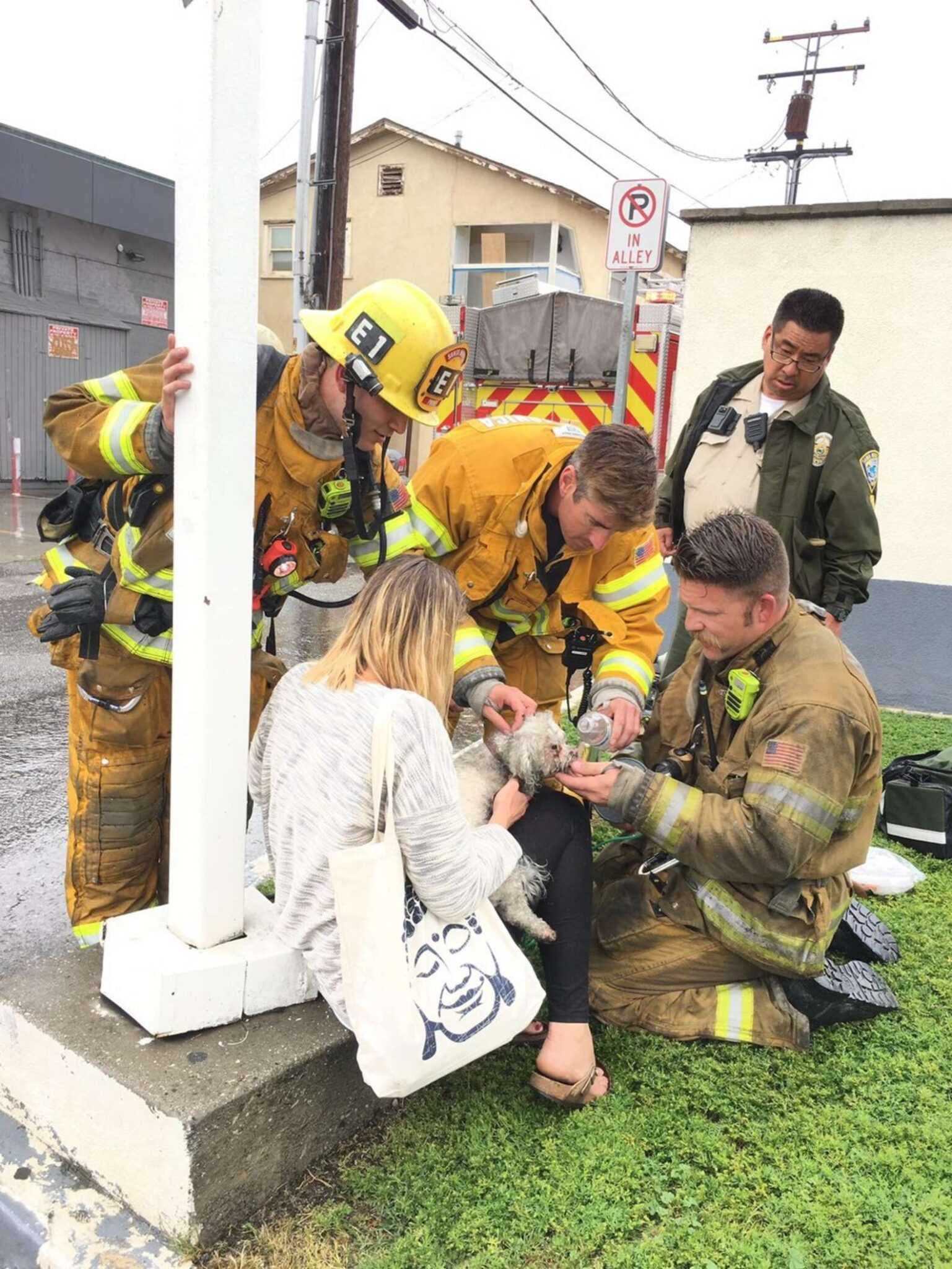 Feuerwehrmann weigert sich, die Rettung eines kleinen Hundes aus einem brennenden Haus aufzugeben